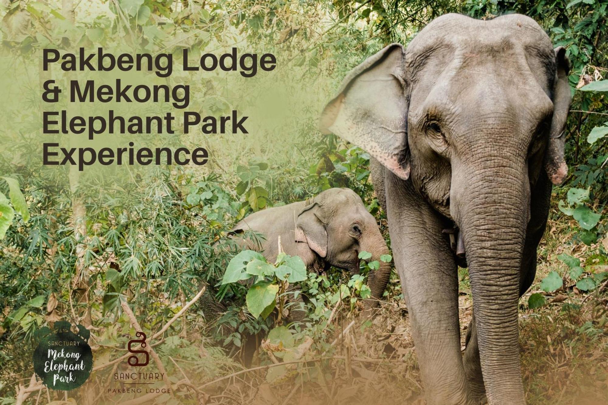 The Sanctuary Pakbeng Lodge Ngoại thất bức ảnh